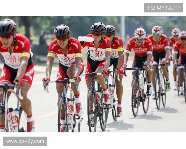 围绕南环路足球队所在位置全面探讨周边城市体育文化未来发展前景 围绕南环路足球队所在位置全面探讨周边城市体育文化未来发展前景